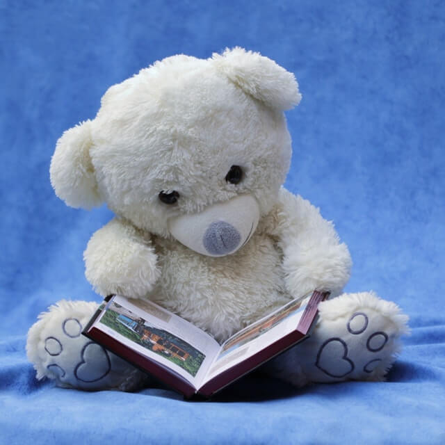 En bamse der kigger i et fotoalbum, som man kan give i barnedåbsgave